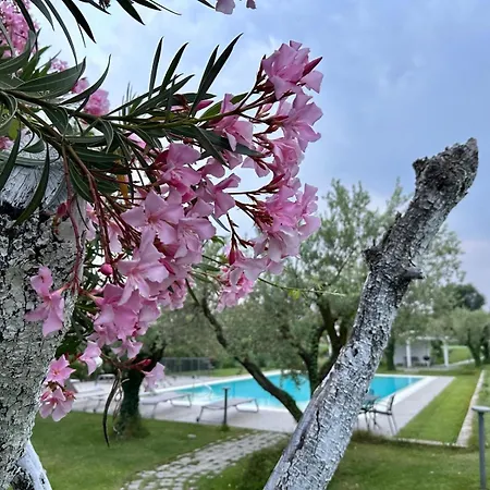 Athena Charme Alojamento de Acomodação e Pequeno-almoço Manerba del Garda